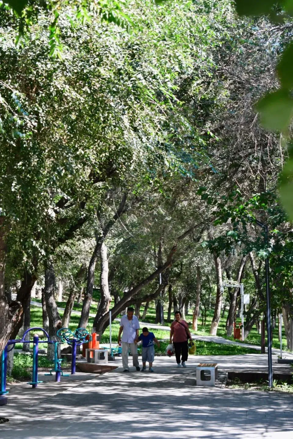 如何制定适合青少年的篮球轮换训练计划_1
